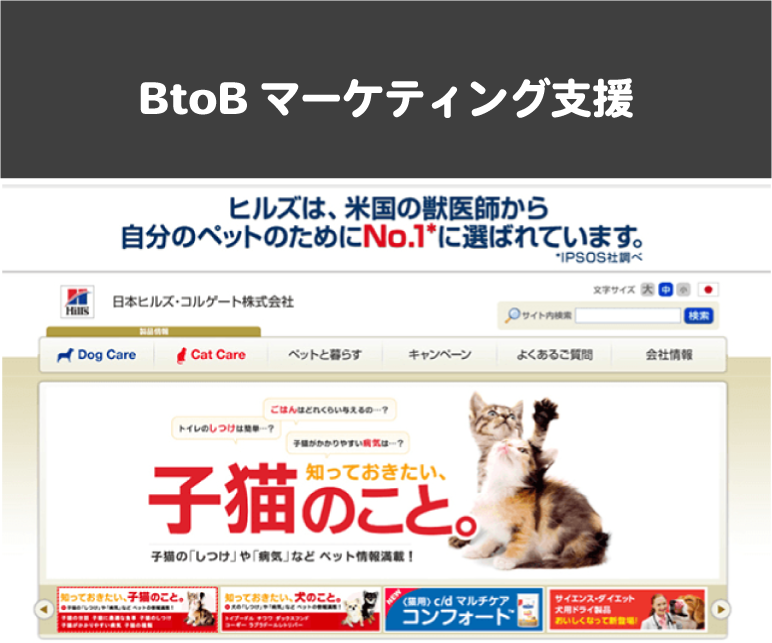 日本ヒルズ・コルゲート BtoBマーケティング支援
